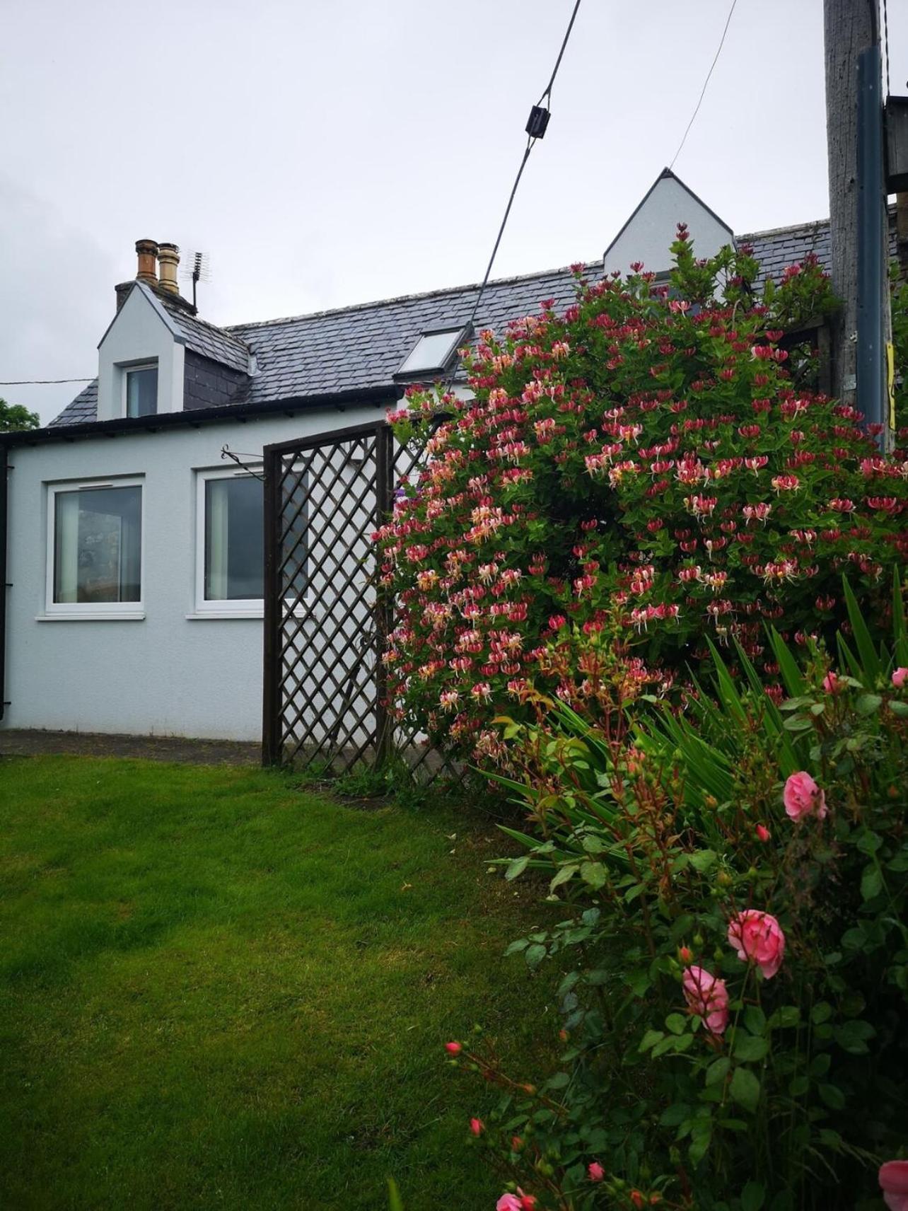Mike'S 3-Bedroom Countryside Cottage Alness Exterior photo